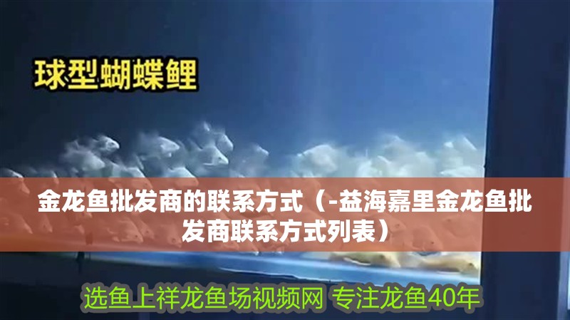 金龍魚批發商的聯系方式（-益海嘉里金龍魚批發商聯系方式列表）