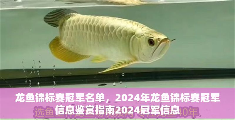 龍魚錦標賽冠軍名單，2024年龍魚錦標賽冠軍信息鑒賞指南2024冠軍信息