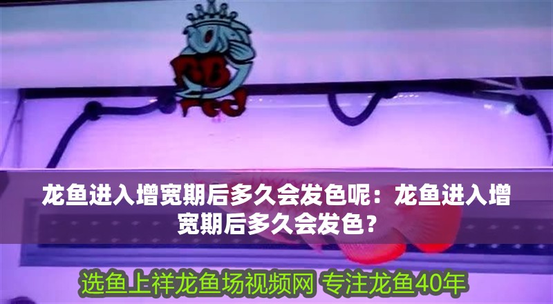 龍魚進入增寬期后多久會發色呢：龍魚進入增寬期后多久會發色？
