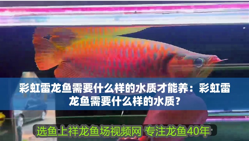 彩虹雷龍魚需要什么樣的水質才能養：彩虹雷龍魚需要什么樣的水質？