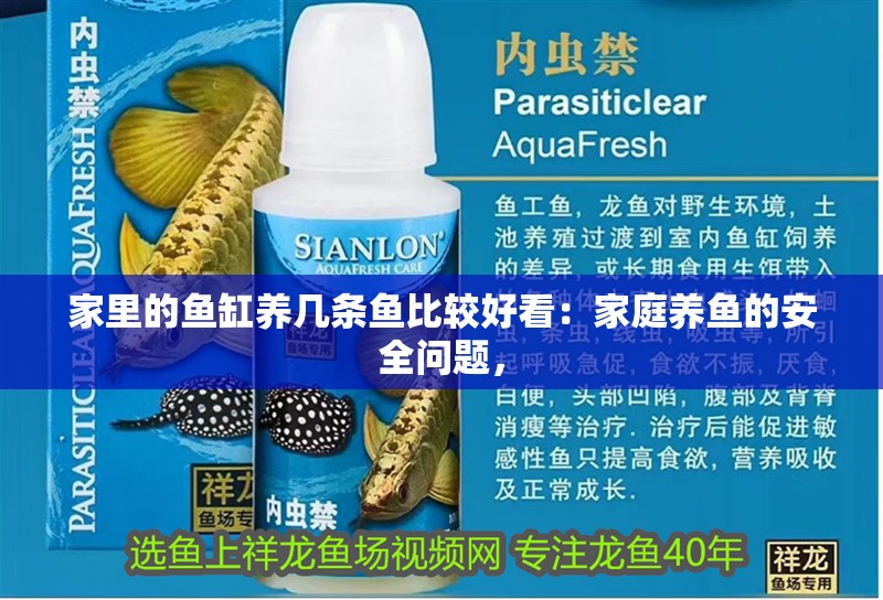 家里的魚缸養幾條魚比較好看：家庭養魚的安全問題，