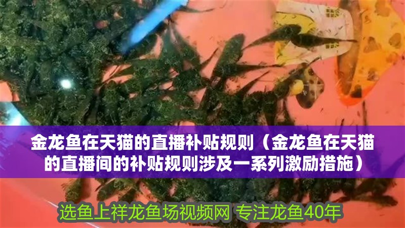 金龍魚在天貓的直播補貼規則（金龍魚在天貓的直播間的補貼規則涉及一系列激勵措施）
