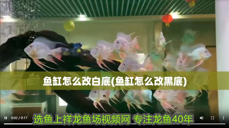 魚缸怎么改白底(魚缸怎么改黑底)