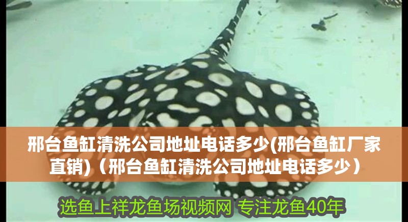 邢臺魚缸清洗公司地址電話多少(邢臺魚缸廠家直銷)（邢臺魚缸清洗公司地址電話多少）