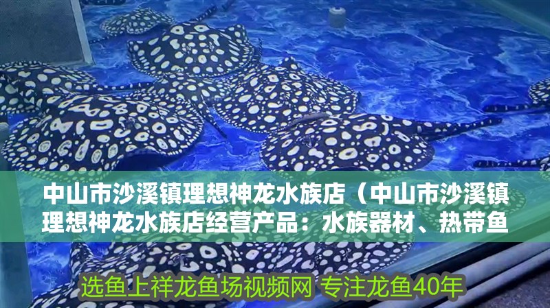 中山市沙溪鎮理想神龍水族店（中山市沙溪鎮理想神龍水族店經營產品：<strong><mark>水族器材</mark></strong>、熱帶魚）