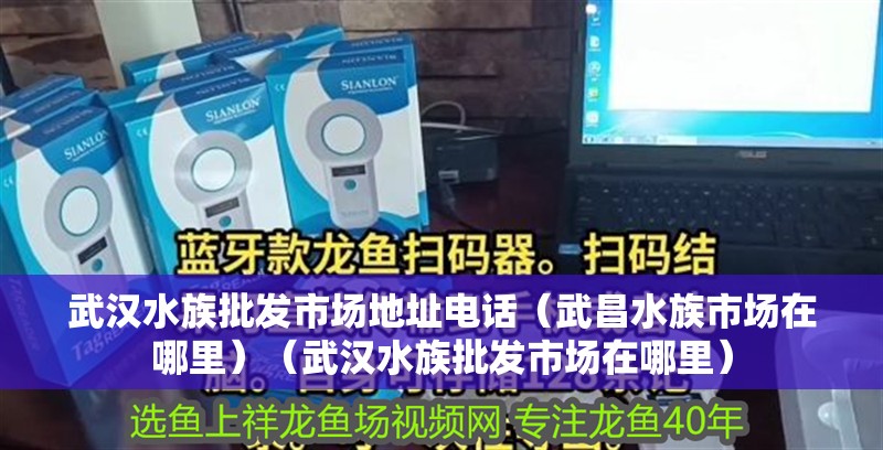 武漢水族批發市場地址電話（武昌水族市場在哪里）（武漢水族批發市場在哪里） 武漢水族批發市場地址電話（武昌水族市場在哪里）（武漢水族批發市場在哪里） 觀賞魚百科