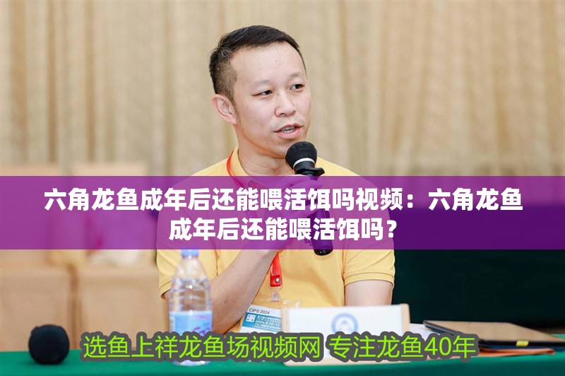 六角龍魚成年后還能喂活餌嗎視頻：六角龍魚成年后還能喂活餌嗎？
