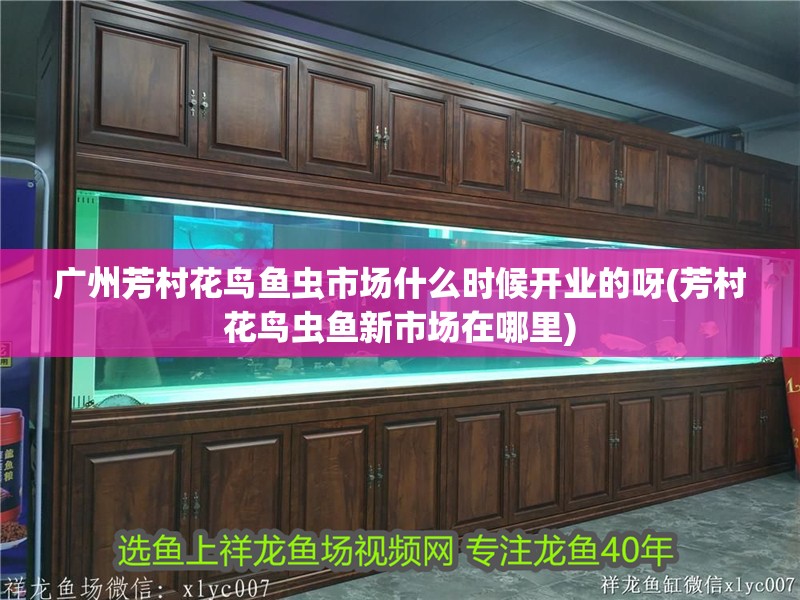 廣州芳村花鳥魚蟲市場什么時候開業(yè)的呀(芳村花鳥蟲魚<strong><mark>新市</mark></strong>場在哪里)