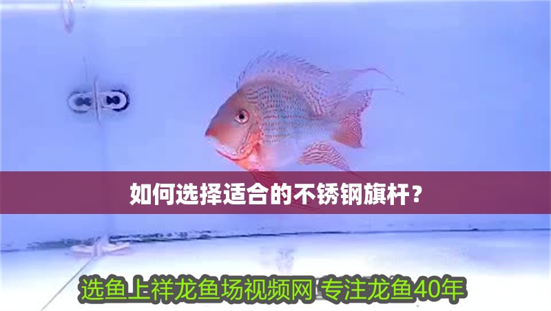 如何選擇適合的不銹鋼旗桿？