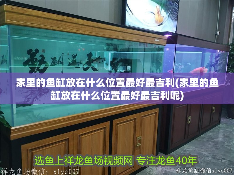 家里的魚缸放在什么位置最好最吉利(家里的魚缸放在什么位置最好最吉利呢)