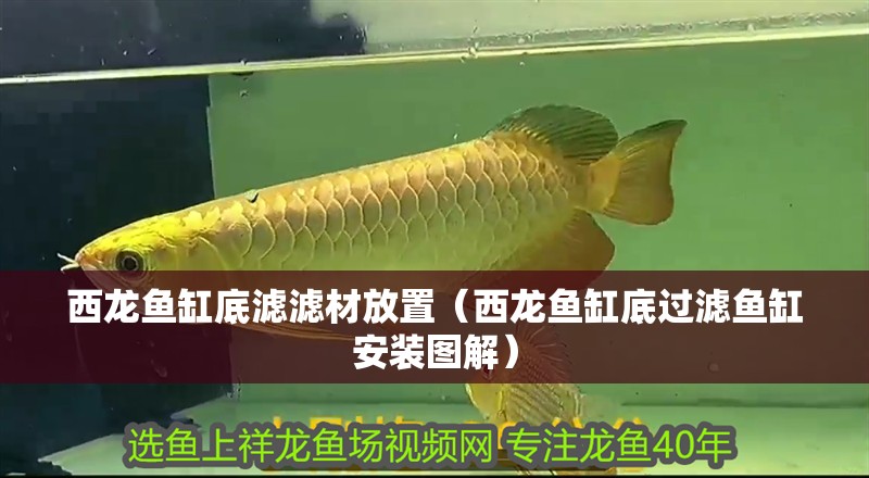 西龍魚(yú)缸底濾濾材放置（西龍魚(yú)缸底過(guò)濾魚(yú)缸安裝圖解）