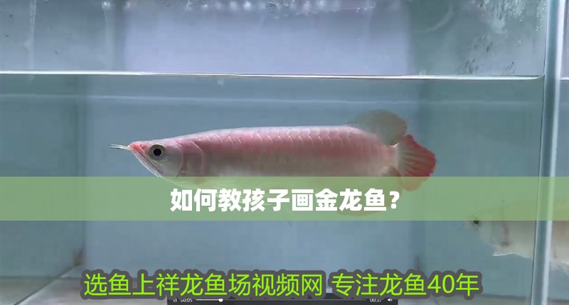 如何教孩子畫金龍魚？
