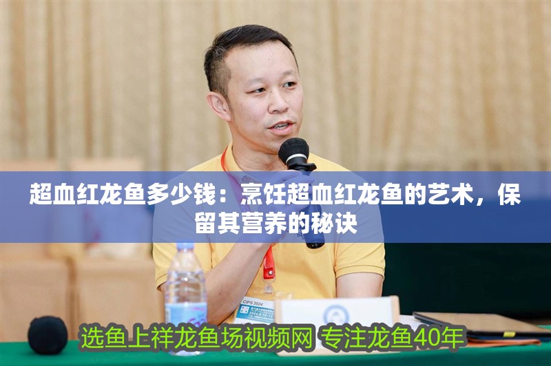 超血紅龍魚多少錢：烹飪超血紅龍魚的藝術(shù)，保留其營(yíng)養(yǎng)的秘訣