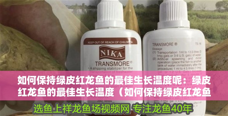 如何保持綠皮紅龍魚的最佳生長溫度呢：綠皮紅龍魚的最佳生長溫度（如何保持綠皮紅龍魚的最佳生長溫度）