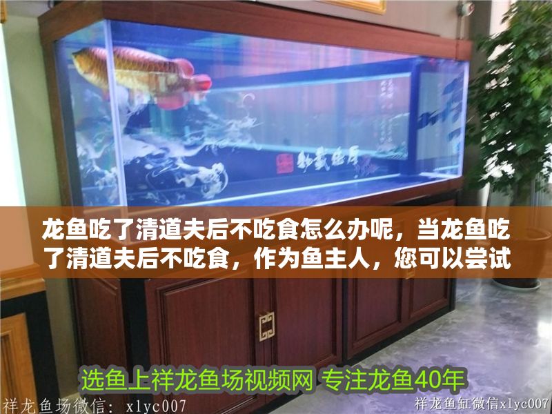 龍魚吃了清道夫后不吃食怎么辦呢，當龍魚吃了清道夫后不吃食，作為魚主人，您可以嘗試以下幾個方案