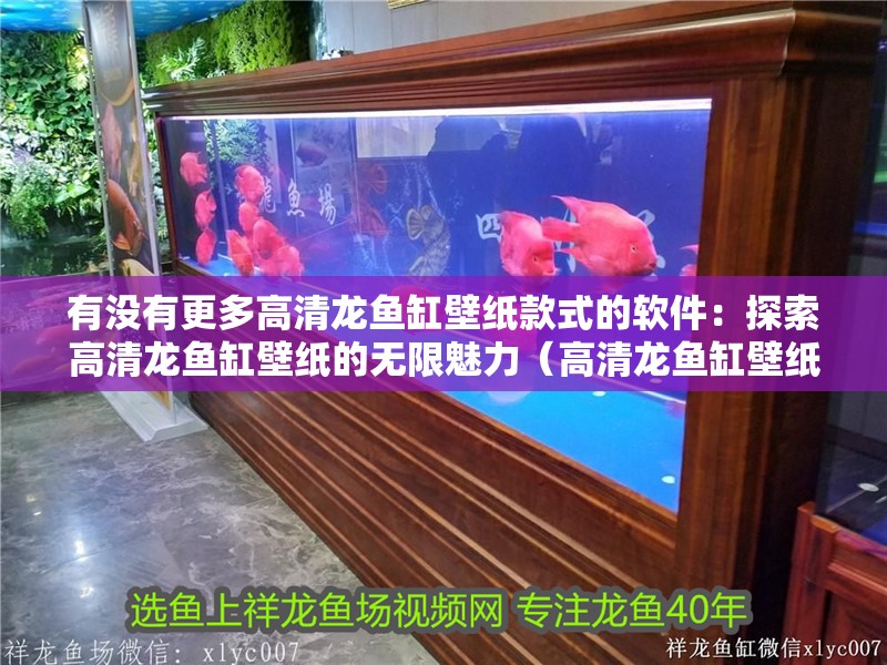 有沒有更多高清龍魚缸壁紙款式的軟件：探索高清龍魚缸壁紙的無(wú)限魅力（高清龍魚缸壁紙）