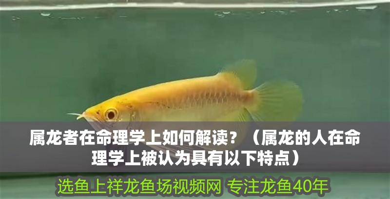 屬龍者在命理學上如何解讀？（屬龍的人在命理學上被認為具有以下特點）
