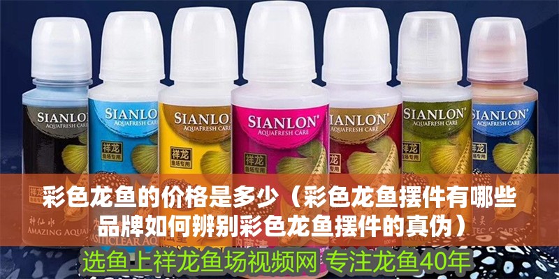 彩色龍魚的價格是多少（彩色龍魚擺件有哪些品牌如何辨別彩色龍魚擺件的真偽）