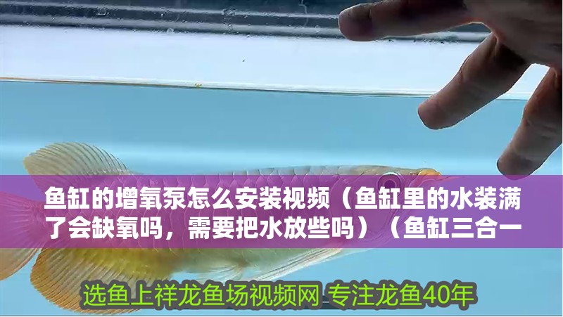 魚缸的增氧泵怎么安裝視頻（魚缸里的水裝滿了會缺氧嗎，需要把水放些嗎）（魚缸三合一水泵）