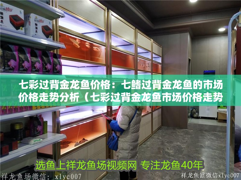 七彩過背金龍魚價格：七鰭過背金龍魚的市場價格走勢分析（七彩過背金龍魚市場價格走勢分析）