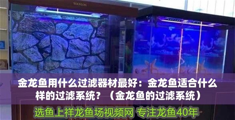 金龍魚用什么過濾器材最好：金龍魚適合什么樣的過濾系統(tǒng)？（金龍魚的過濾系統(tǒng)）
