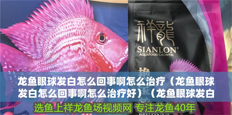龍魚眼球發白怎么回事啊怎么治療（龍魚眼球發白怎么回事啊怎么治療好）（龍魚眼球發白怎么辦）