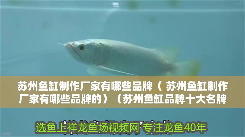 蘇州魚缸制作廠家有哪些品牌（ 蘇州魚缸制作廠家有哪些品牌的）（蘇州魚缸品牌十大名牌魚缸品牌排行榜，魚缸品牌十大品牌）