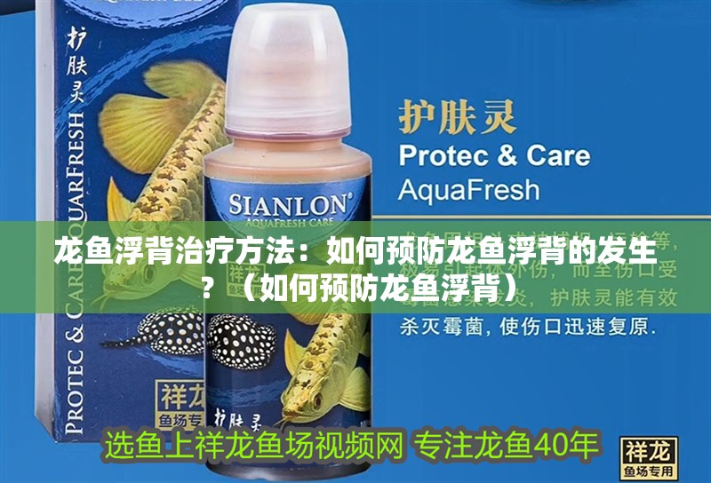龍魚浮背治療方法：如何預防龍魚浮背的發生？（如何預防龍魚浮背）