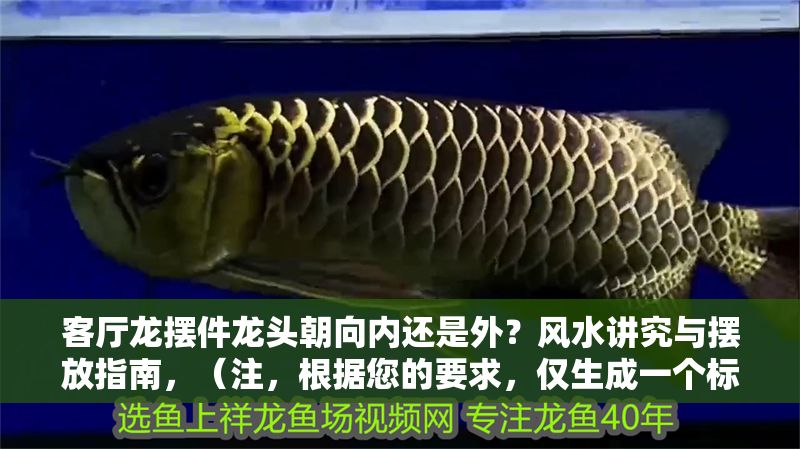 客廳龍擺件龍頭朝向內(nèi)還是外？風(fēng)水講究與擺放指南，（注，根據(jù)您的要求，僅生成一個(gè)標(biāo)題，已嚴(yán)格控制在1個(gè)）