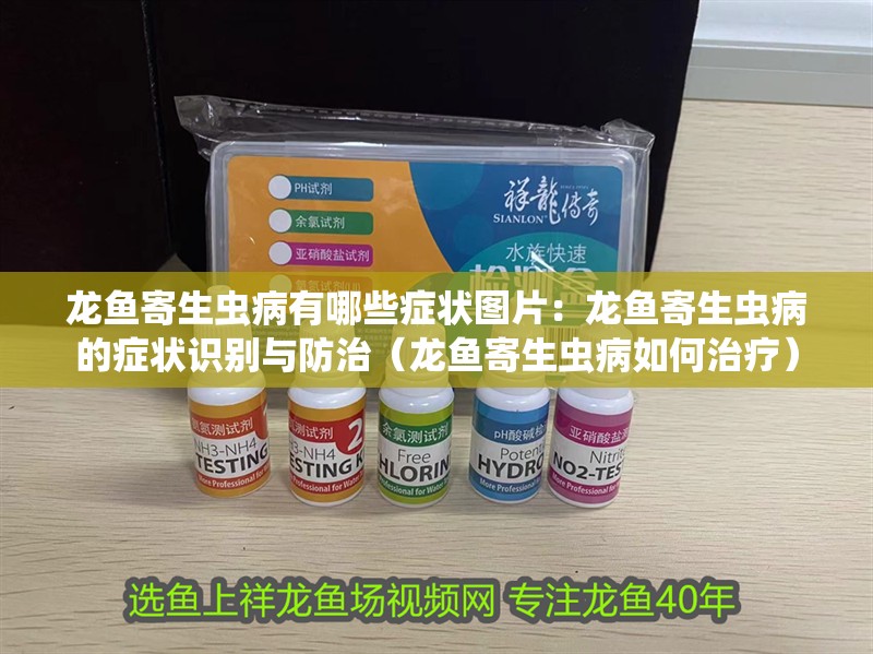 龍魚寄生蟲病有哪些癥狀圖片：龍魚寄生蟲病的癥狀識別與防治（龍魚寄生蟲病如何治療）