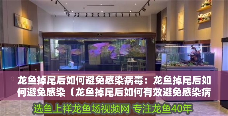 龍魚掉尾后如何避免感染病毒：龍魚掉尾后如何避免感染（龍魚掉尾后如何有效避免感染病毒避免感染病毒避免感染病毒） 龍魚掉尾后如何避免感染病毒：龍魚掉尾后如何避免感染（龍魚掉尾后如何有效避免感染病毒避免感染病毒避免感染病毒） 水族問(wèn)答