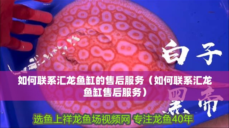 如何聯系匯龍魚缸的售后服務（如何聯系匯龍魚缸售后服務） 如何聯系匯龍魚缸的售后服務（如何聯系匯龍魚缸售后服務） 龍魚百科