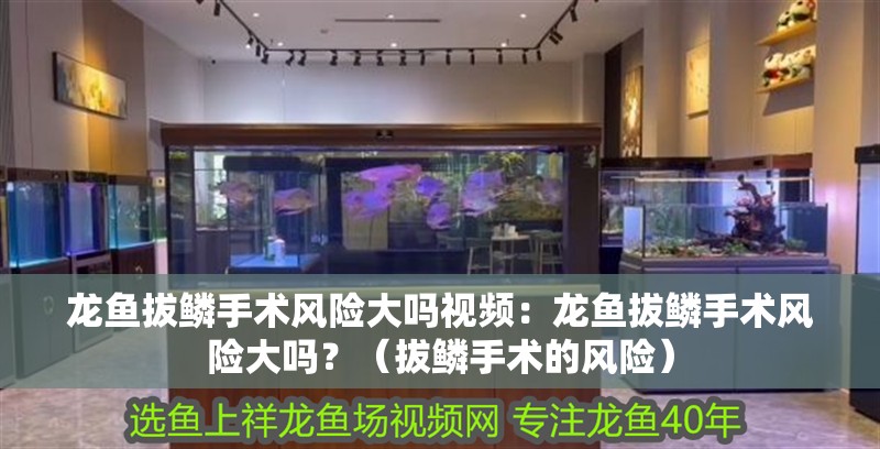 龍魚拔鱗手術風險大嗎視頻：龍魚拔鱗手術風險大嗎？（拔鱗手術的風險）