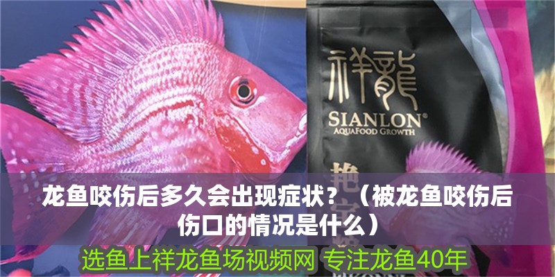 龍魚咬傷后多久會出現癥狀？（被龍魚咬傷后傷口的情況是什么）
