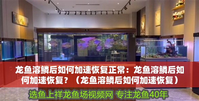 龍魚溶鱗后如何加速恢復正常：龍魚溶鱗后如何加速恢復？（龍魚溶鱗后如何加速恢復）