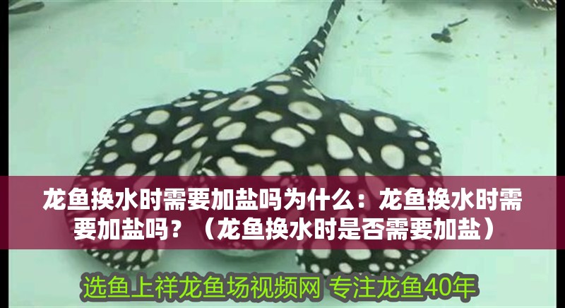 龍魚換水時需要加鹽嗎為什么：龍魚換水時需要加鹽嗎？（龍魚換水時是否需要加鹽）