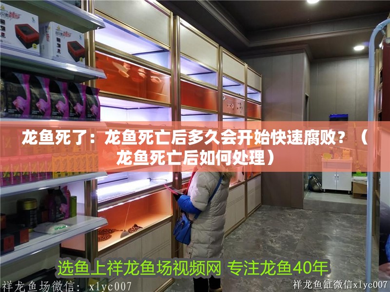 龍魚死了：龍魚死亡后多久會開始快速腐敗？（龍魚死亡后如何處理）