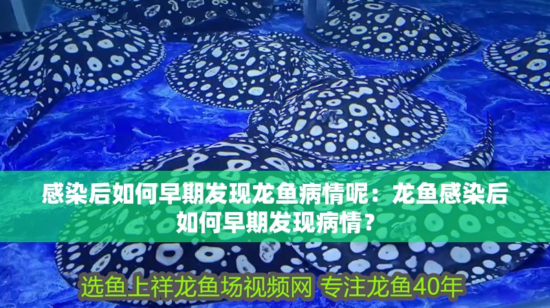 感染后如何早期發現龍魚病情呢：龍魚感染后如何早期發現病情？