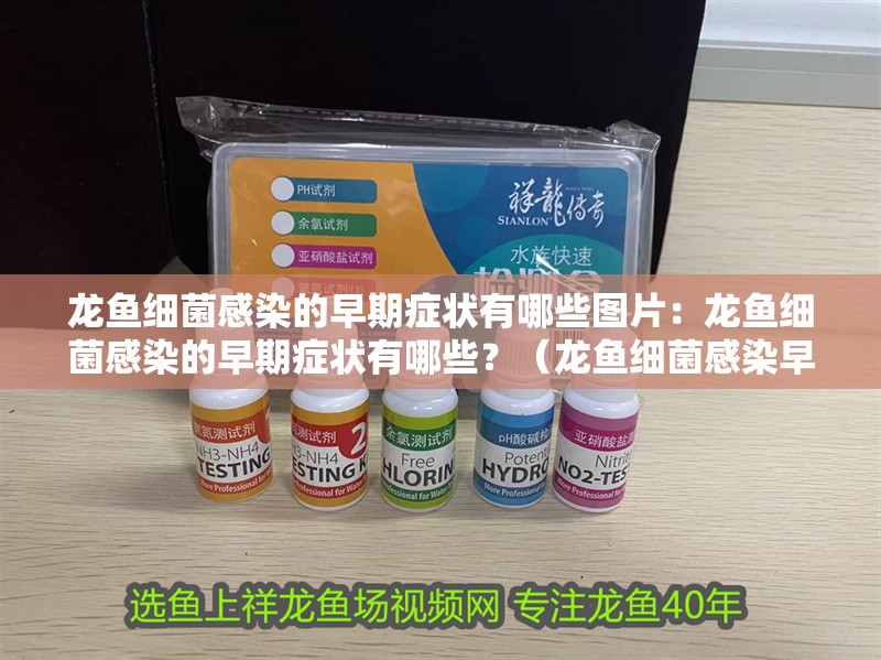 龍魚細(xì)菌感染的早期癥狀有哪些圖片：龍魚細(xì)菌感染的早期癥狀有哪些？（龍魚細(xì)菌感染早期癥狀）