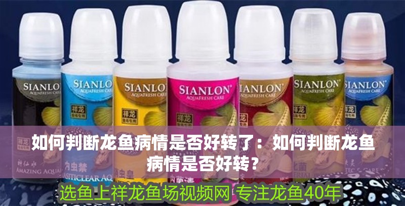 如何判斷龍魚病情是否好轉了：如何判斷龍魚病情是否好轉？