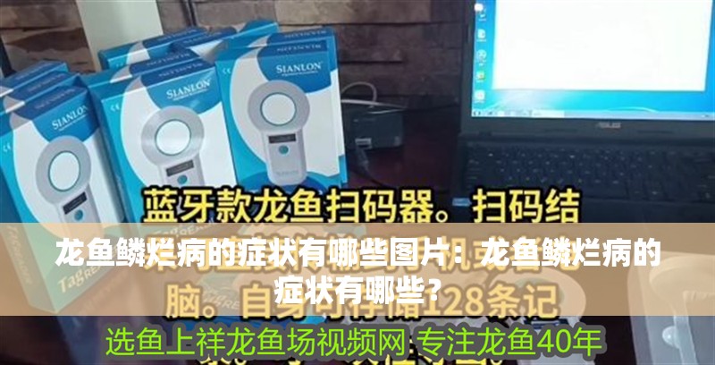 龍魚鱗爛病的癥狀有哪些圖片：龍魚鱗爛病的癥狀有哪些？