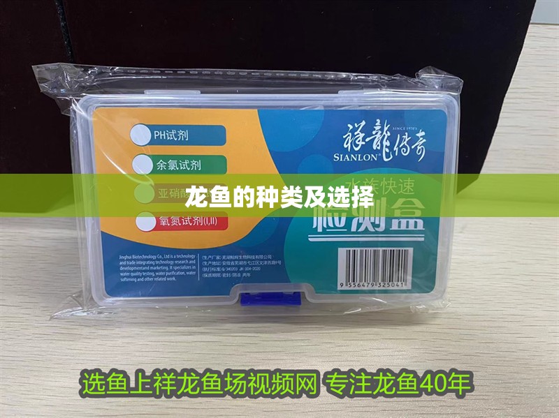 龍魚的種類及選擇