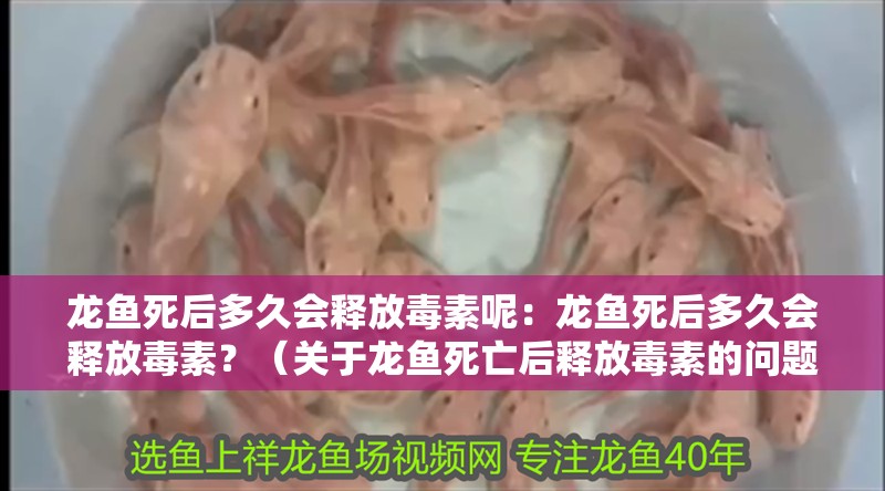 龍魚死后多久會釋放毒素呢：龍魚死后多久會釋放毒素？（關于龍魚死亡后釋放毒素的問題）