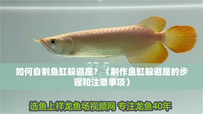 如何自制魚缸躲避屋？（制作魚缸躲避屋的步驟和注意事項）