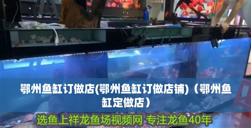 鄂州魚缸訂做店(鄂州魚缸訂做店鋪)（鄂州魚缸定做店）