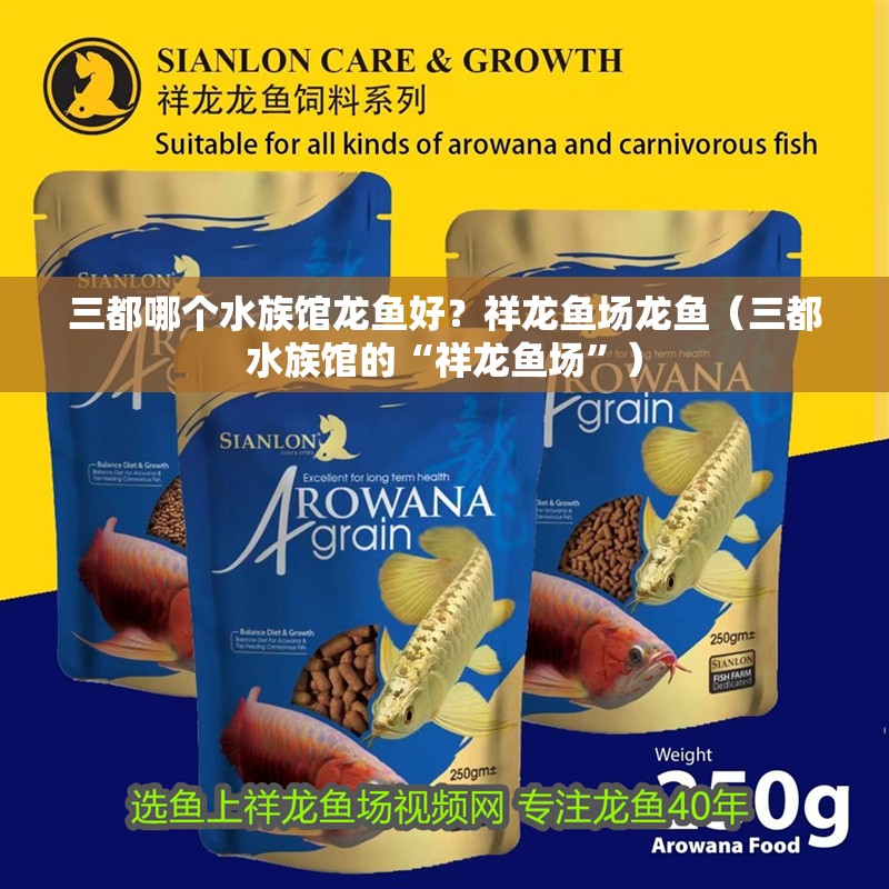 三都哪個水族館龍魚好？祥龍魚場龍魚（三都水族館的“祥龍魚場”）