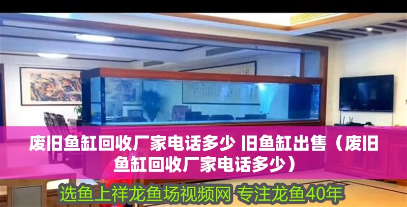 廢舊魚缸回收廠家電話多少 舊魚缸出售（廢舊魚缸回收廠家電話多少）