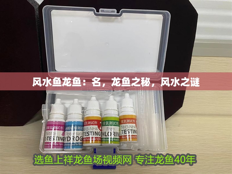 風(fēng)水魚龍魚：名，龍魚之秘，風(fēng)水之謎
