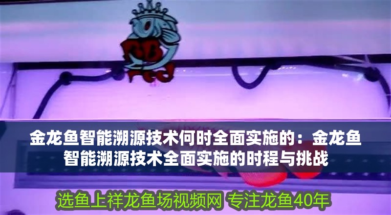 金龍魚智能溯源技術何時全面實施的：金龍魚智能溯源技術全面實施的時程與挑戰
