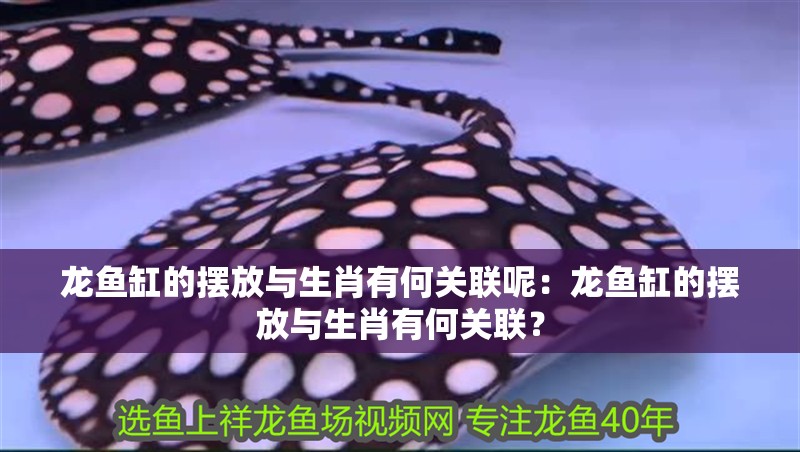 龍魚缸的擺放與生肖有何關聯呢：龍魚缸的擺放與生肖有何關聯？